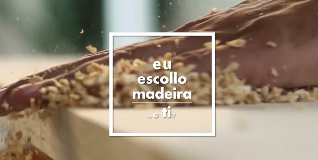 Eu escollo madeira