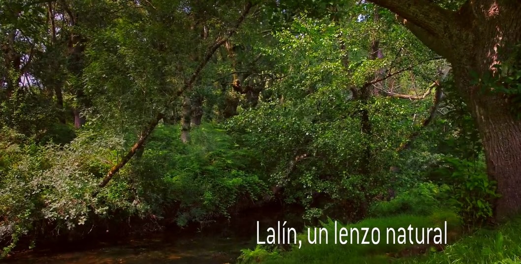 Lalín, un lenzo natural