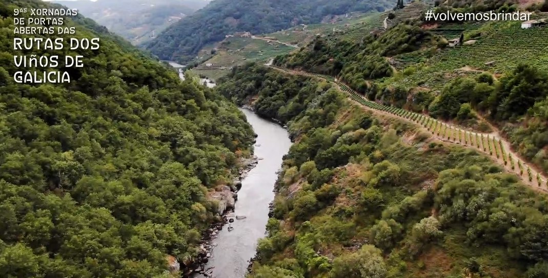 Rutas dos viños de Galicia promocional